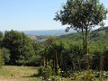 DSCN1821