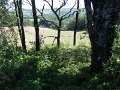 DSCN1832