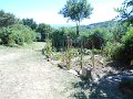 DSCN2936
