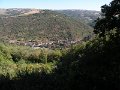 DSCN5338