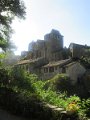 IMG_0980