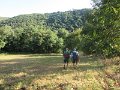 IMG_5323
