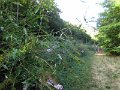 IMG_5327