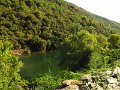 IMG_5343