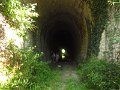 IMG_5355