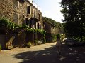 IMG_5389
