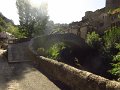 IMG_5391