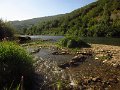 IMG_5398