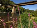 IMG_5401