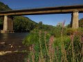 IMG_5402