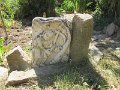 IMG_5427