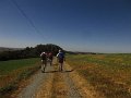 IMG_5433