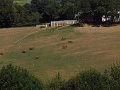 IMG_5442