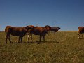 IMG_5443