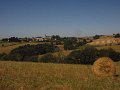 IMG_5444