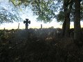 IMG_5466
