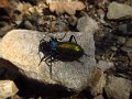 IMG_5472