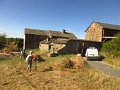 IMG_5475