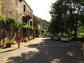 IMG_9305