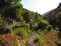 IMG_9306