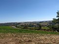 IMG_9319
