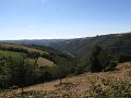 IMG_9320