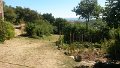 img1473243816581