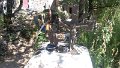 img1473246140230